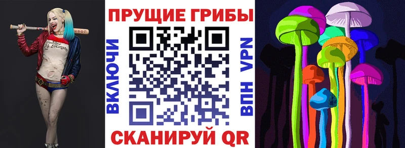 Псилоцибиновые грибы Cubensis omg вход Орск